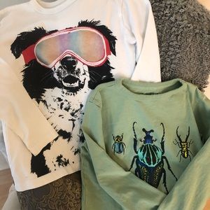 Two JCrew long sleeve tees, one dog and one beetles, Size 4/5